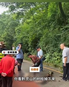 贵阳一公园树枝掉落砸倒路过老人