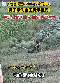 男子被恶狗袭击 徒手捏死炖了吃