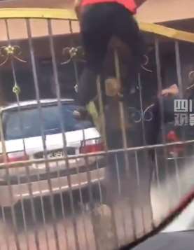 男子被狗吓得一秒爬上铁门