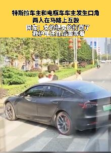 湖北一特斯拉司机与骑电瓶车男子马路边互殴