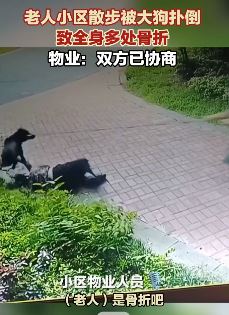 长沙一老人小区内被大狗撞倒致多处骨折