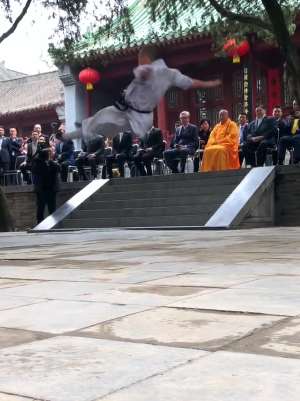 少林武僧表演地躺拳，果然是自古功夫出少林！