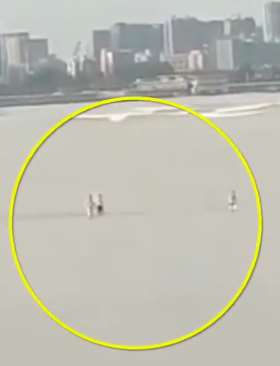 3人被钱塘江冲走，两人生还一人死亡