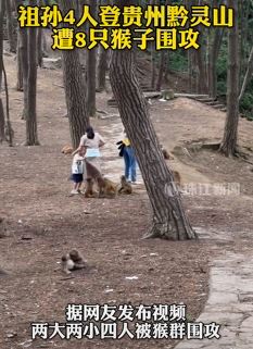 一家4人登贵州黔灵山遭猴子围攻