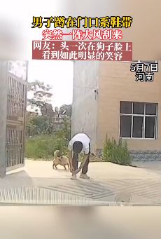 搞笑视频：男子蹲在门口系鞋带被大门一拍跪地 狗子在一旁偷笑