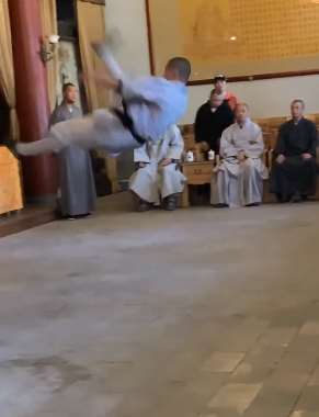 少林武术表演，这才叫真功夫！