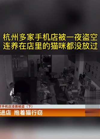 杭州多家手机店被盗 窃贼连养的猫都不放过