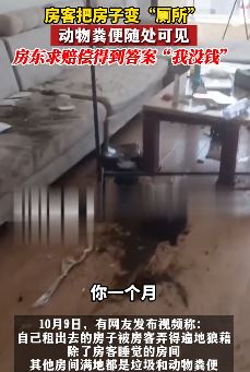 女房客把房东房子变"厕所" 动物粪便随处可见