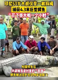 印尼一男子仅用一根麻绳捕获4.3米巨鳄