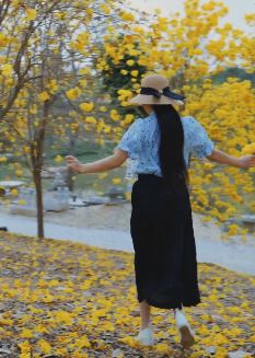 文艺旅拍南宁的春天 将美好的一切变成暖色光源