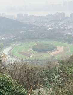 杭州有块面积90余亩八卦田，距今已有800多年