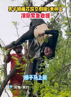 河南一男子摘槐花不慎踩空倒挂5米树上