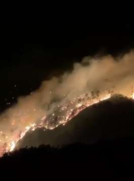 西昌火灾致19名扑火人员不幸牺牲