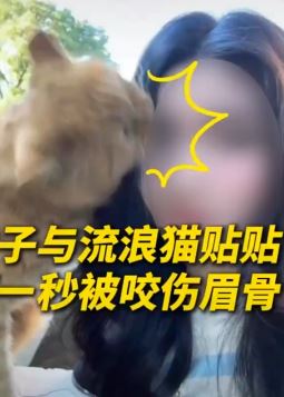 女子景区与流浪猫亲密互动被咬伤