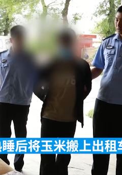 甘肃平凉一男子租车盗窃多家农户玉米被刑拘