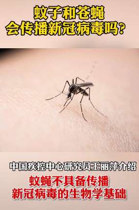 蚊蝇叮咬会传播新冠病毒吗？专家权威回应！