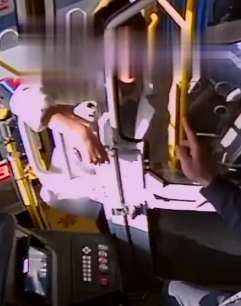 浙江一女子乘公交车不戴口罩 司机劝阻反被打骂