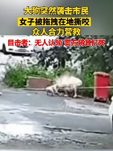 郑州一未栓绳大狗将女子拖拽在地上撕咬 之后被警方击毙
