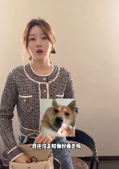 网红嘉鹅日常搞笑:下班不走给你守灵啊!