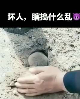 田鼠：坏人，我正忙呢瞎捣什么乱！