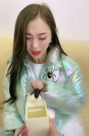 礼物盒里放黑蜘蛛，小伙没事套路老婆，这下玩大了！