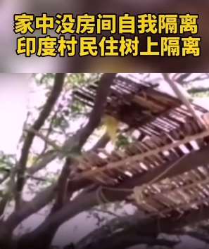 家中没房间自我隔离  印度村民住树上隔离