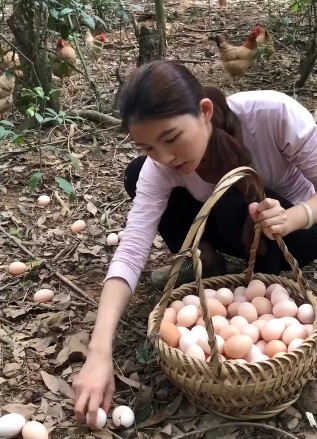 遍地都是土鸡蛋，这得捡到什么时候!