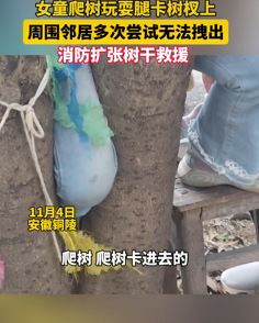 女童爬树玩耍腿卡树杈 消防员扩张树干救出