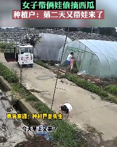 女子带2娃到大棚偷西瓜 种植户：西瓜无所谓，但把小孩都带坏了