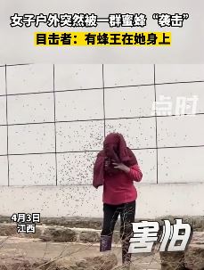 女子户外突遭一群蜜蜂袭击 无人敢上前帮忙