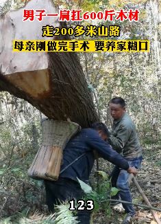 为养家糊口男子肩扛600斤木头走山路