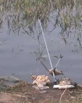 河南一男子钓鱼时不幸溺亡 渔友下水去救险些溺水