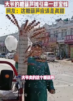 济南一大爷卖糖葫芦引来无数只小蜜蜂