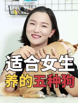 适合女生养的5种狗,看看哪种你喜欢!