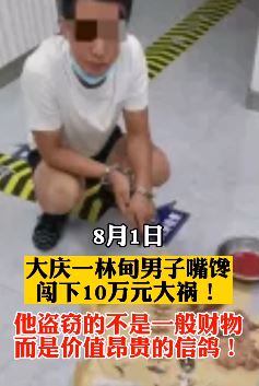 大庆一男子因嘴馋偷信鸽被抓