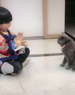 主人说："自从养了猫，带娃轻松多了!"