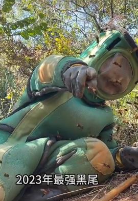 蜂狂小成哥帮粉丝除掉2023年所遇最强黑尾虎头蜂群