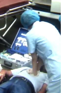 重庆发生一起野蜂蛰人事件 水管工人被蜇后身亡