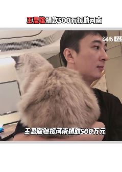 王思聪捐款500万援助河南