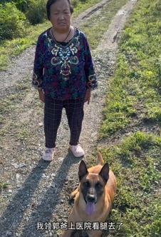 搞笑视频：主人带狗去医院看腿，看的却是护士的腿！