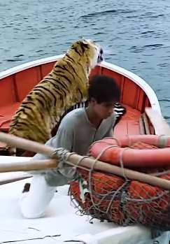 电影《少年派的奇幻漂流》，小伙与老虎在海上漂流200余天终回大陆