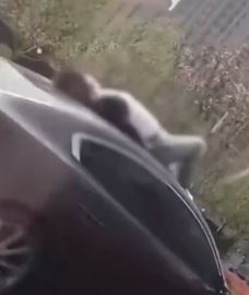 网曝山西晋城一街道发生车祸 有人被撞上车顶