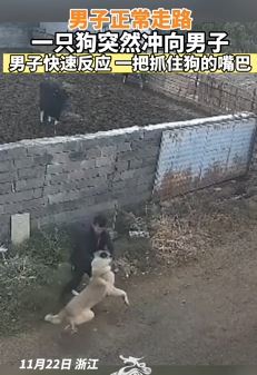 浙江一男子正常走路被一只狗突然袭击