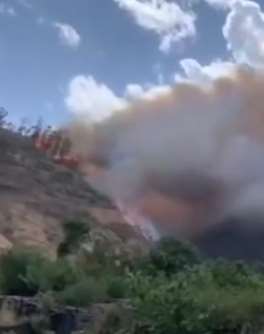 西昌山火起火原因查明 村民做饭时意外导致