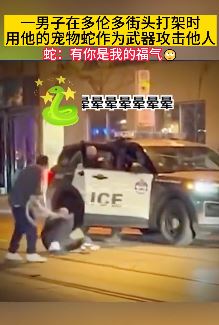 加拿大一男子街头拿宠物蛇抽打他人