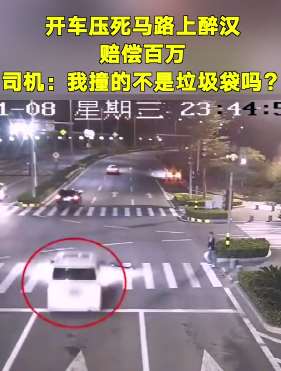 女子开车压死醉汉赔偿百万