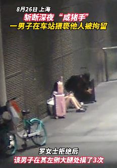 上海一男子深夜在车站猥亵独行女子被拘留
