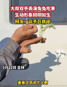 吉林一双叔双手表演兔子吃草栩栩如生