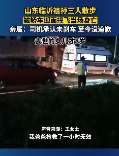 山东临沂祖孙三人散步被撞身亡