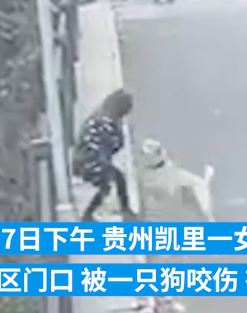贵州凯里一女子被狗扑咬全身20多处伤口